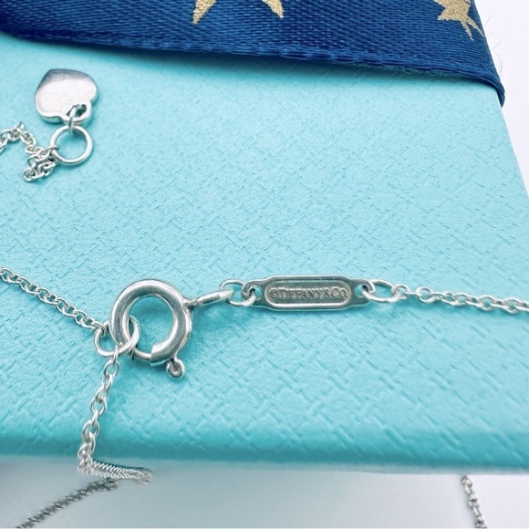 RARE Tiffany & Co. Return To Blue Enamel Bird Heart Charm Necklace w Packaging - Picture 7 of 10